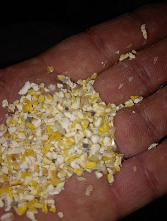 Реалізуємо відходи та побічні продукти з кукурудзи Сумы - изображение 1