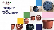 Квіткові горщики для хризантем (оптові ціни) Киев
