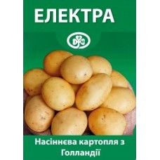 Картофель Электра Элит. ( Голандия) Николаев - изображение 1