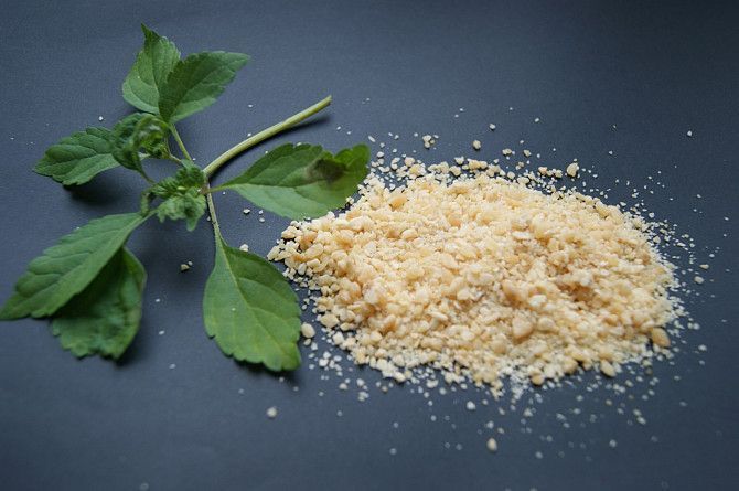 Продам сухой чеснок. Производство Украина. Днепр - изображение 1