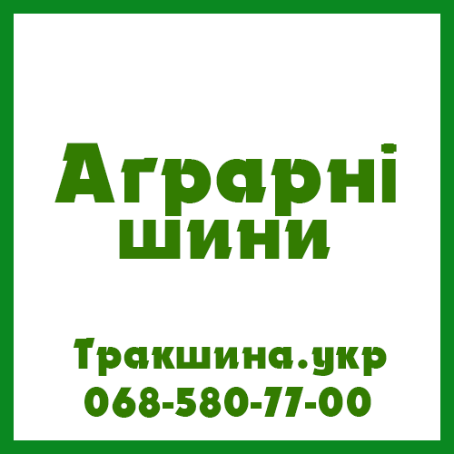 23.1 R26 Tianli R-1 166/166A8/B Сільгосп шина Київ - изображение 1