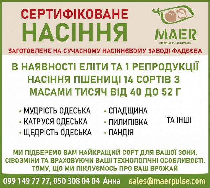 Сертифіковане насіння пшениці Винница - изображение 1