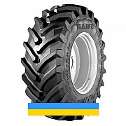 900/60 R42 Trelleborg TM1000 HIGH POWER 180D Сільгосп шина Львов