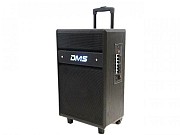 Колонка аккумуляторная DMS K10-12MS Київ