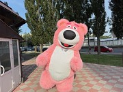Медведь костюм Киев