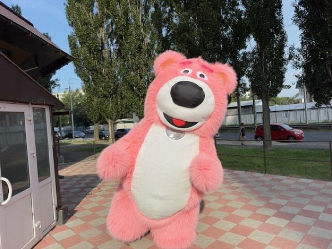 Медведь костюм Київ - изображение 1