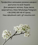 Створимо професійне резюме на замовлення на різних мовах Київ