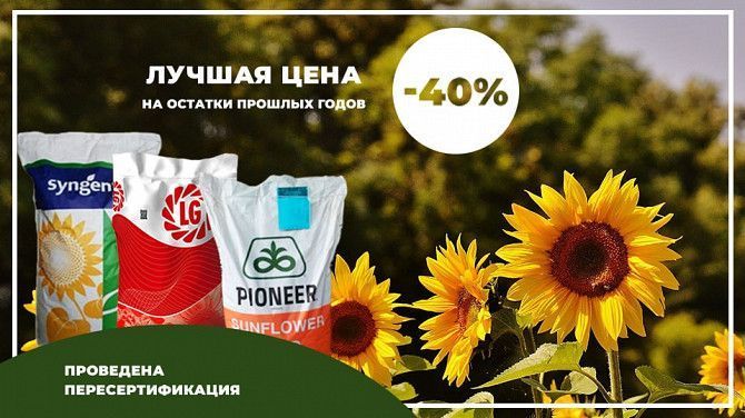 Знижка 40% на залишки насіння соняшника минулих років (2017, 2016) Київ - изображение 1