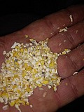 Побічні продукти кукурудзи, зерновідходи на продаж Полтава