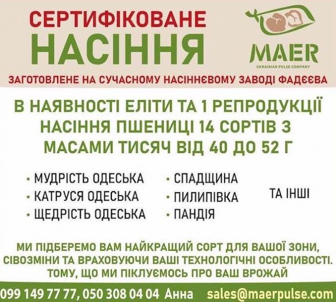 Посівний матеріал пшениці, сертифіковане насіння пшениці Николаев - изображение 1