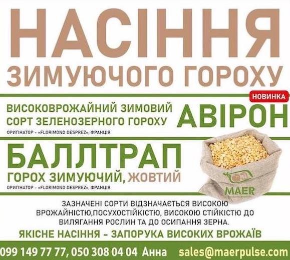 Посівний матеріал, насіння озимого гороху Черкассы - изображение 1