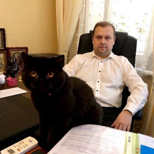 Адвокат по семейным и гражданским делам. Киев - изображение 1