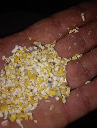 Зерновідходи та побічний продукт кукурудзи Сумы - изображение 1