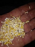 Зерновідходи, побічний продукт кукурудзи. Полтава