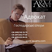 Адвокат у господарських питаннях Харьков
