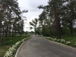 " Козырная Карта " Участок ровной формы 25 соток( футбольное поле). Киев - изображение 1