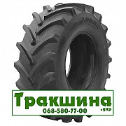 600/70 R30 Росава TR-106 158D Сільгосп шина Днепр