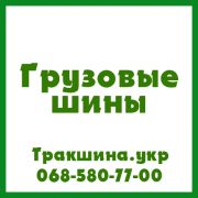 480/80 R26 Ascenso MIR 220 167/167A8/B Індустріальна шина Дніпро