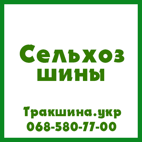 270/95 R48 Ascenso TDR 900 144D Сільгосп шина Київ - изображение 1