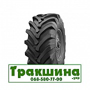 30.5 R32 Росава Ф-81 162A6 Сільгосп шина Дніпро