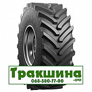 24.5 R32 Росава TR-07 172A8 Сільгосп шина Днепр
