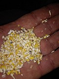 Продаж зерновідходів кукурудзи, побічного продукту з кукурудзи. Сумы
