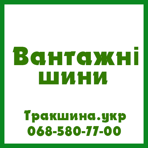 1100/400 R533 Everest W-16A 150/146G Універсальна шина Київ - изображение 1