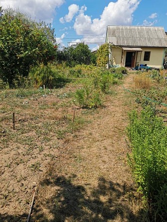 Продам ухоженный участок Овидиополь - изображение 1