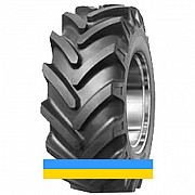 210/90 R24 Armour R-1 100A6 сільгосп шина Київ