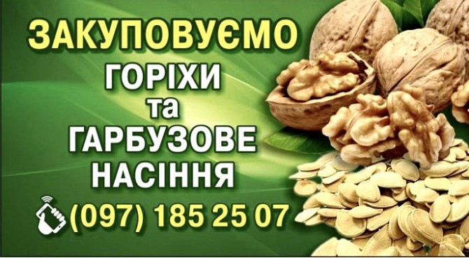 Купуємо горіхи та гарбузове насіння Черкассы - изображение 1
