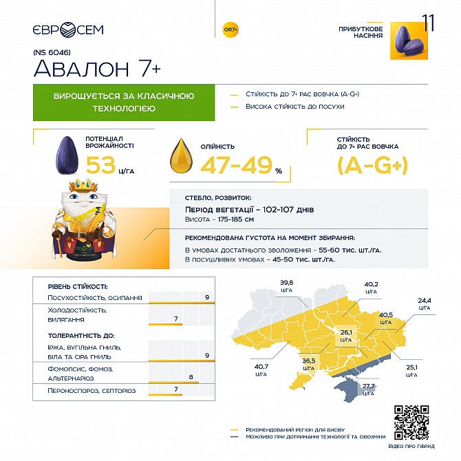 Насіння соняшника Авалон NS 6046 ** 2023 рік Харьков - изображение 1