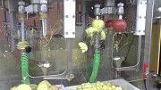 Машина для очистки, нарезания, удаления сердцевины яблок 300-500 кг/час Ужгород