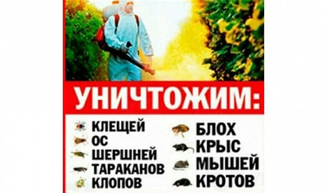 Санитарно эпидемиологическая служба "ЮГ" Симферополь - изображение 1