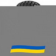 15/55 R17 Mitas IM-04 Сільгосп шина Киев