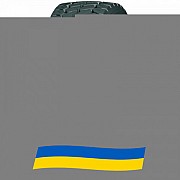 385/65 R22.5 Compasal CPT65 160L Кар'єрна вантажна шина Киев