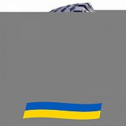 11.5/80 R15.3 Ascenso IMB 160 128/126A8/A8 Сільгосп шина Киев