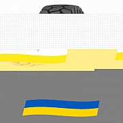 18 R25 Белшина Бел-183 185B Індустріальна шина Киев