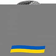 215/75 R17.5 Lassa Maxiways 110D 126/124M Ведуча вантажна шина Киев
