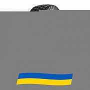 275/70 R22.5 Compasal CPD81 148/145M Ведуча шина Киев