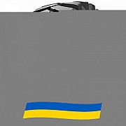 405/70 R20 Advance E-2H 145/165B/A2 Індустріальна шина Киев