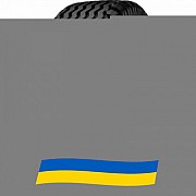 400/60 R15.5 Starmaxx IMP-80 145A8 Сільгосп шина Київ