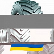 710/70 R38 Росава TR-203 169A8 Сельхоз шина Київ