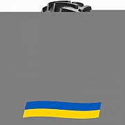 16.9 R34 BKT Agrimax RT-855 142/142A8/B Сельхоз шина Київ