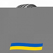 315/80 R22.5 Orium On Off Go Steer 156/150K Рульова шина Київ