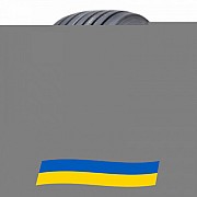 435/50 R19.5 Samson GL251T 160J Причіпна вантажна шина Київ