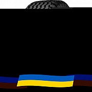 19/45 R17 Starmaxx IMP-80 141A8 Сільгосп шина Киев