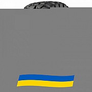 29.5 R25 Triangle TB598S 200B Індустріальна шина Киев
