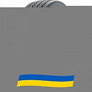 385/65 R22.5 Michelin X Multi T 160K Причіпна шина Киев