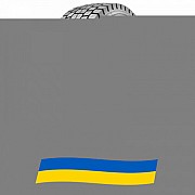 295/80 R22.5 Sailun SDR1 152/148M Ведуча шина Киев