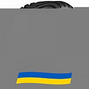 550/45 R22.5 Ceat FLOTATION T422 154A8 Сільгосп шина Киев